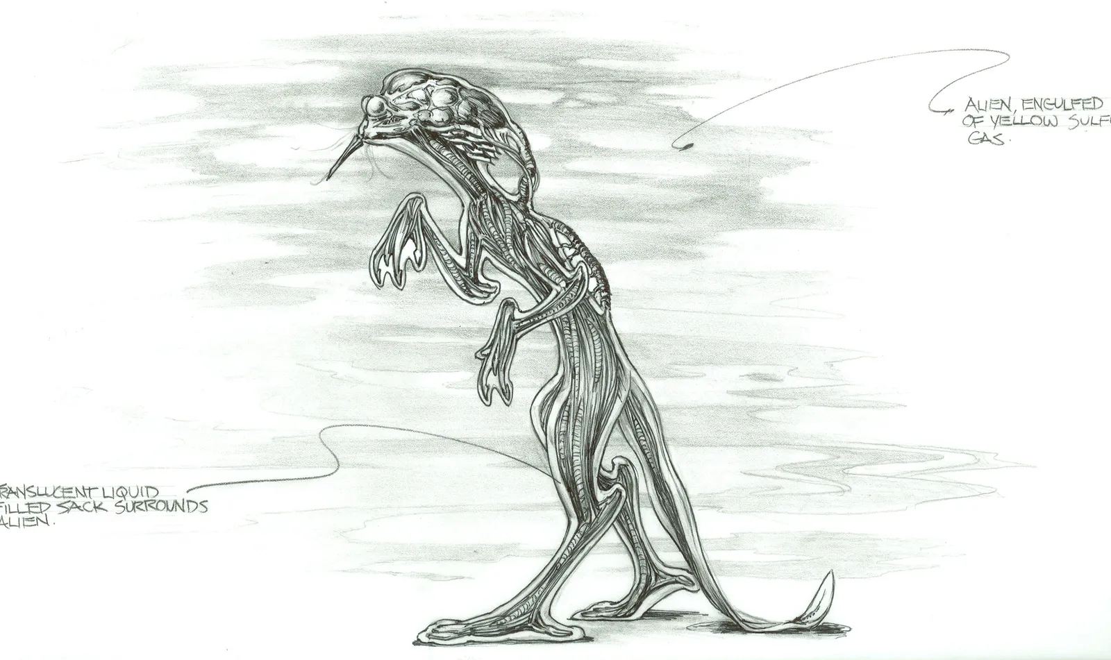 Stargate concept art - "Scorched Earth" I loved this alien design of the alien Gadmeer that, sadly, never made it to…